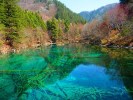 【2-8人團】高鐵3日游九寨溝黃龍+岷江源頭