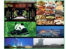 成都三星堆、熊貓基地一日游（探秘三星堆 夢回古蜀國 ）