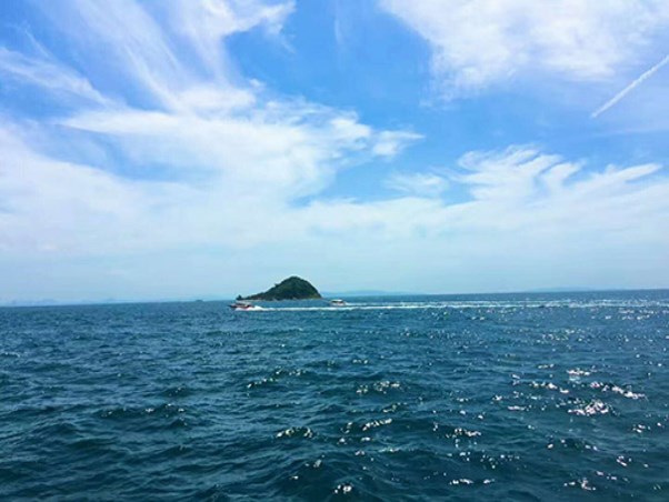 新馬2